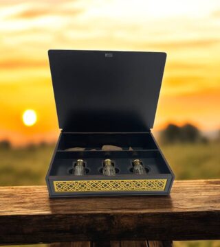 d8ba82b7-a301-41be-b5b0-29f8f7a92e54